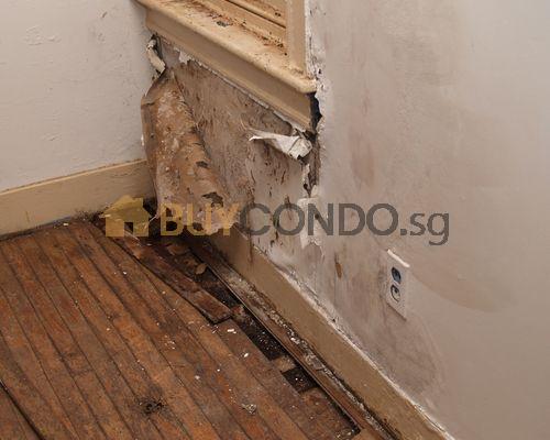 Resolving Water Leakage Issues in Condos