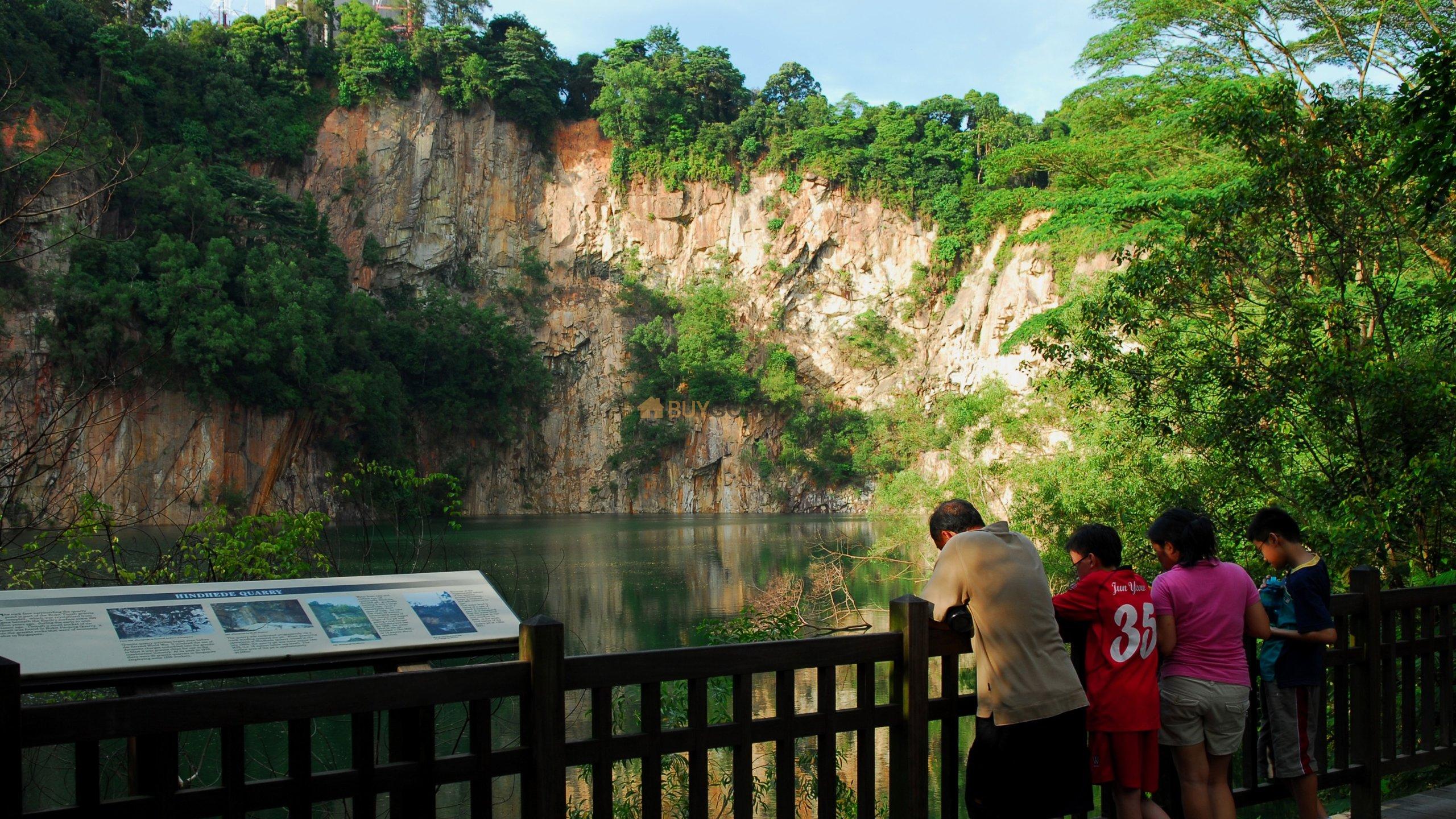 38558 Bukit Timah Nature Reserve