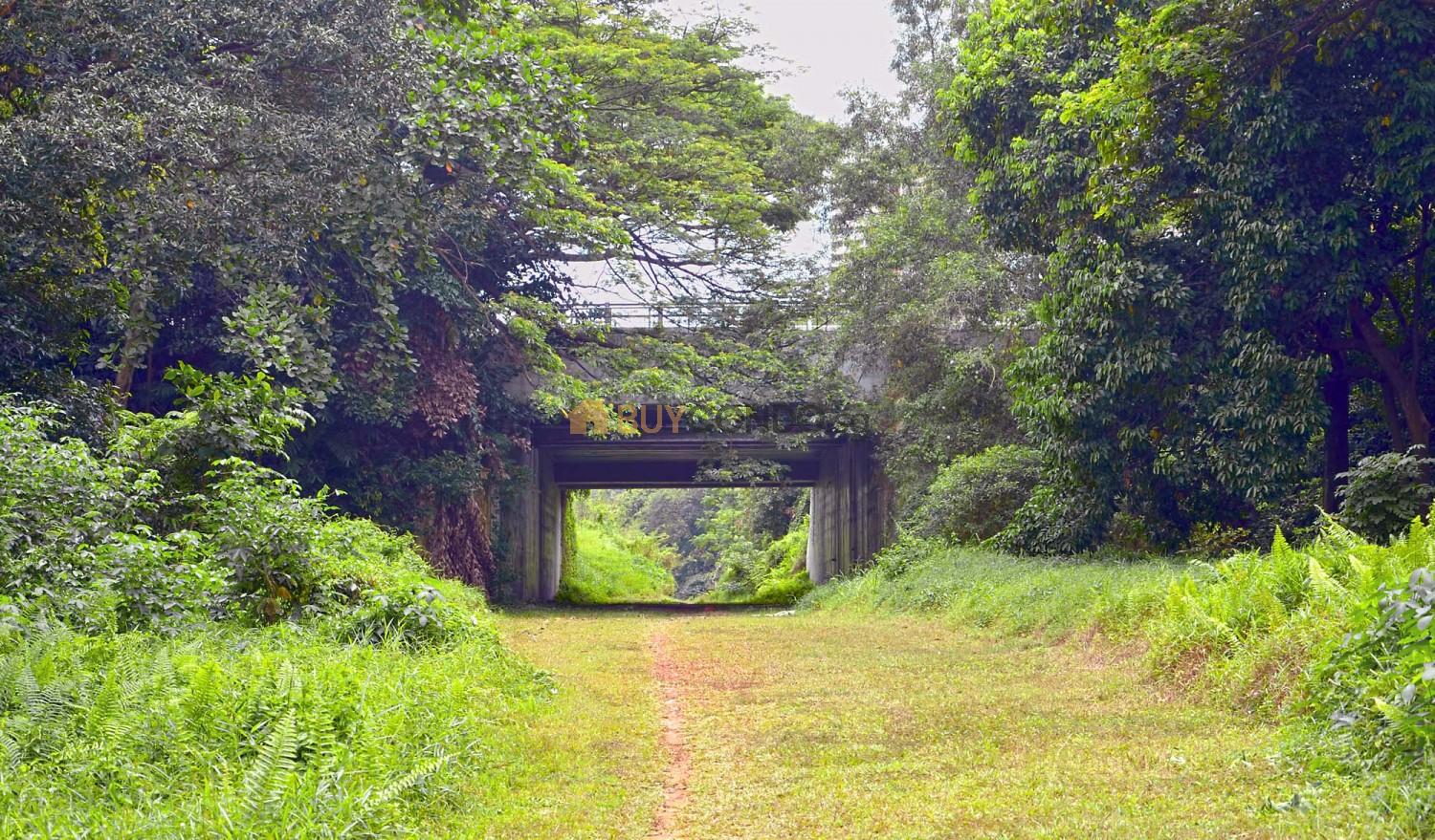 Bridge 1500x879