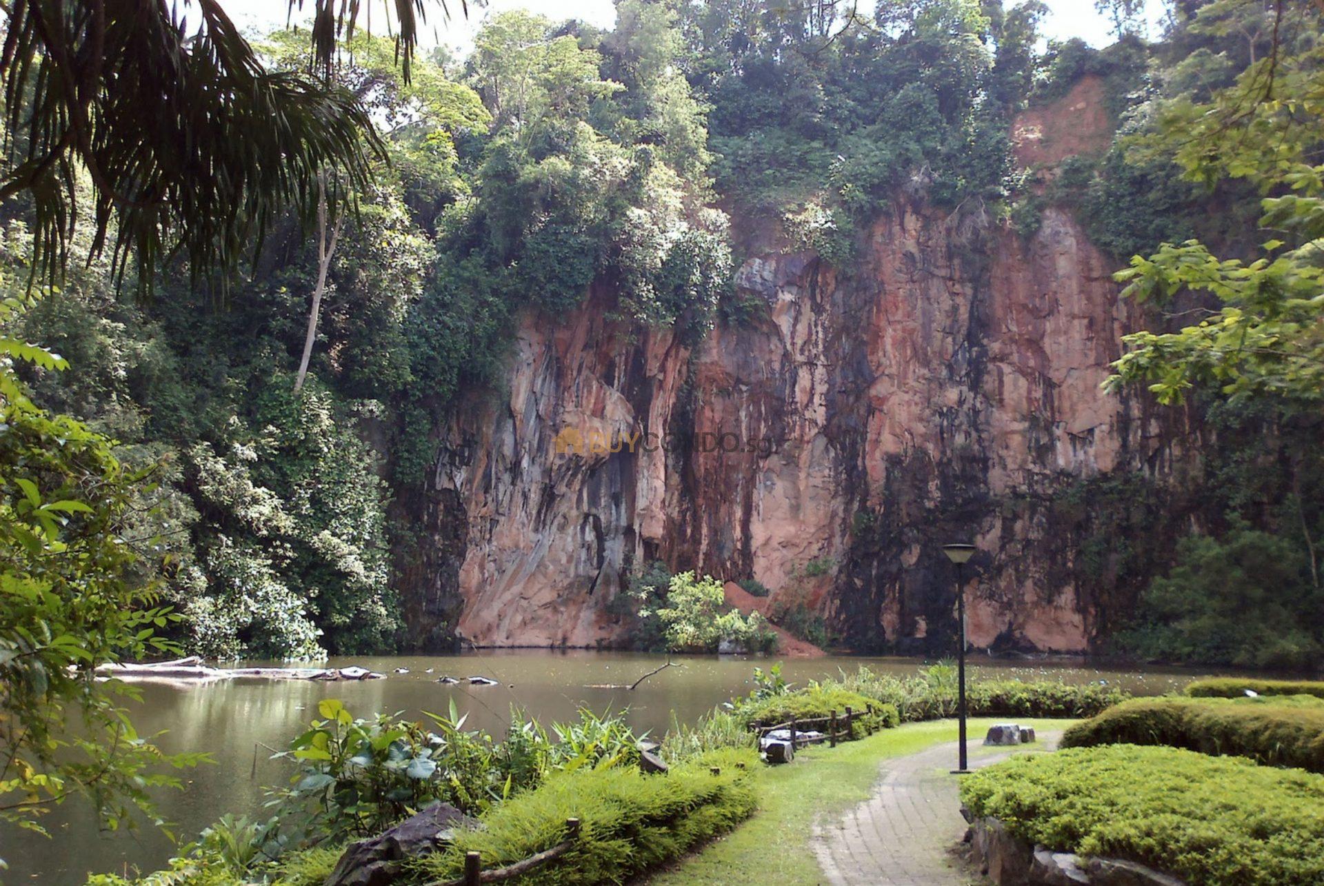 Bukit Batok Nature Park Walking Trail scaled