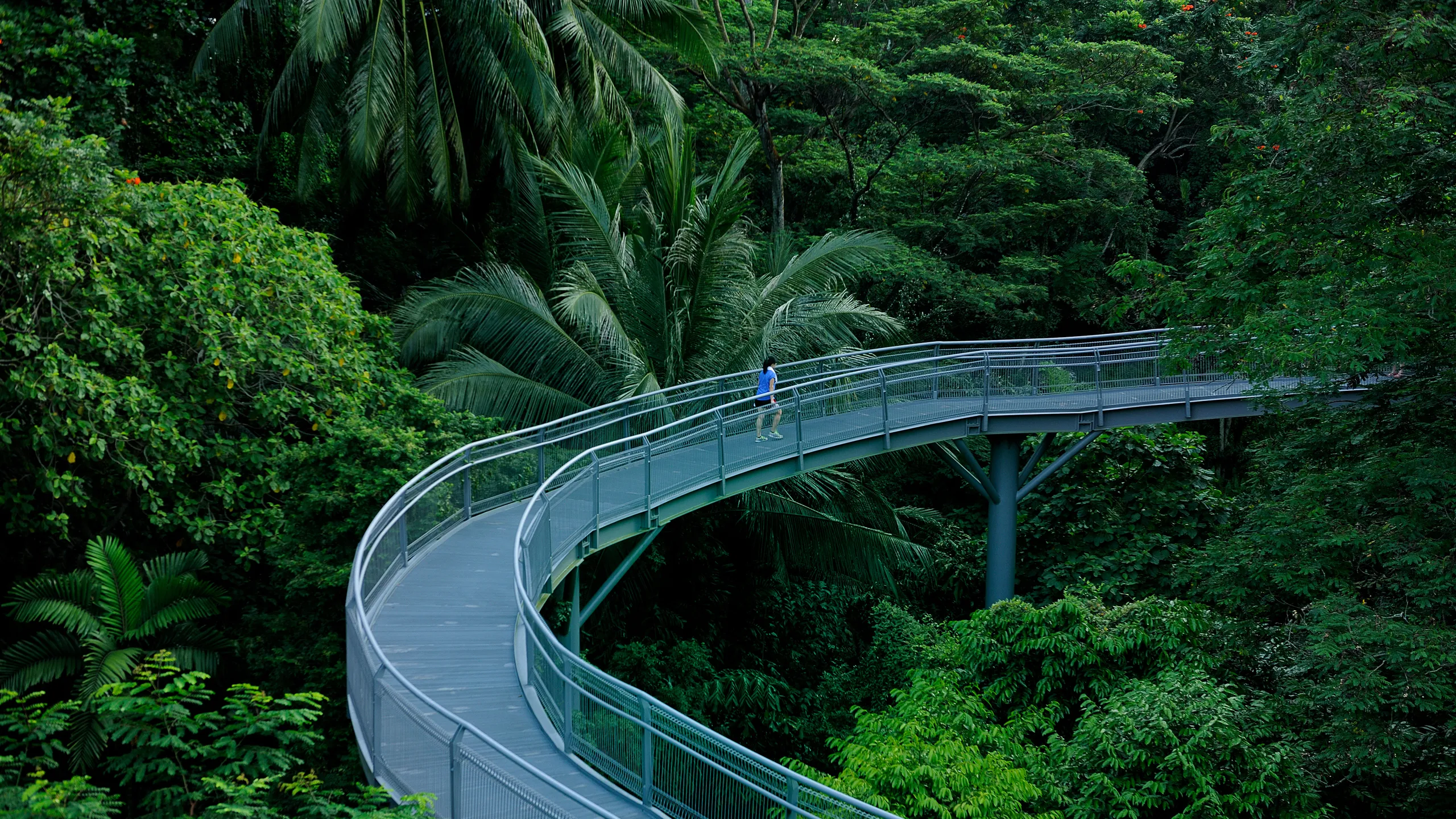 Southern Ridges (Please credit National Parks Board)