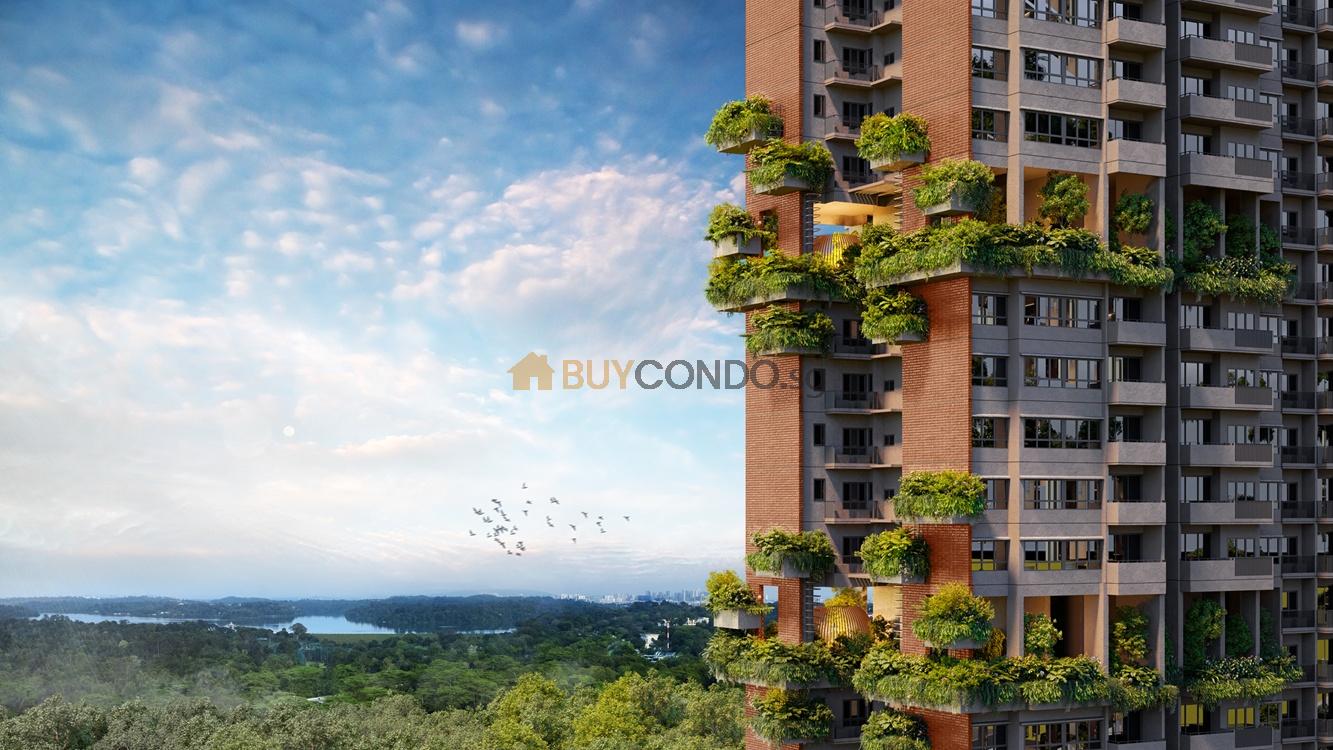 Springleaf Residence Sky Terrance with Forest View