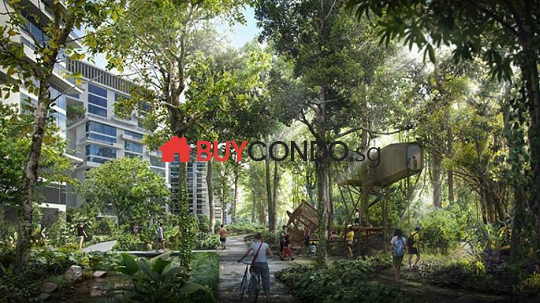 Tengah 5km forest corridor for trekking Tengah 5km forest corridor for trekking